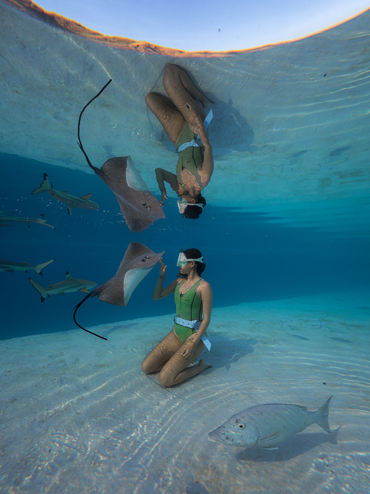 Mo'orea Whale Retreat 2026