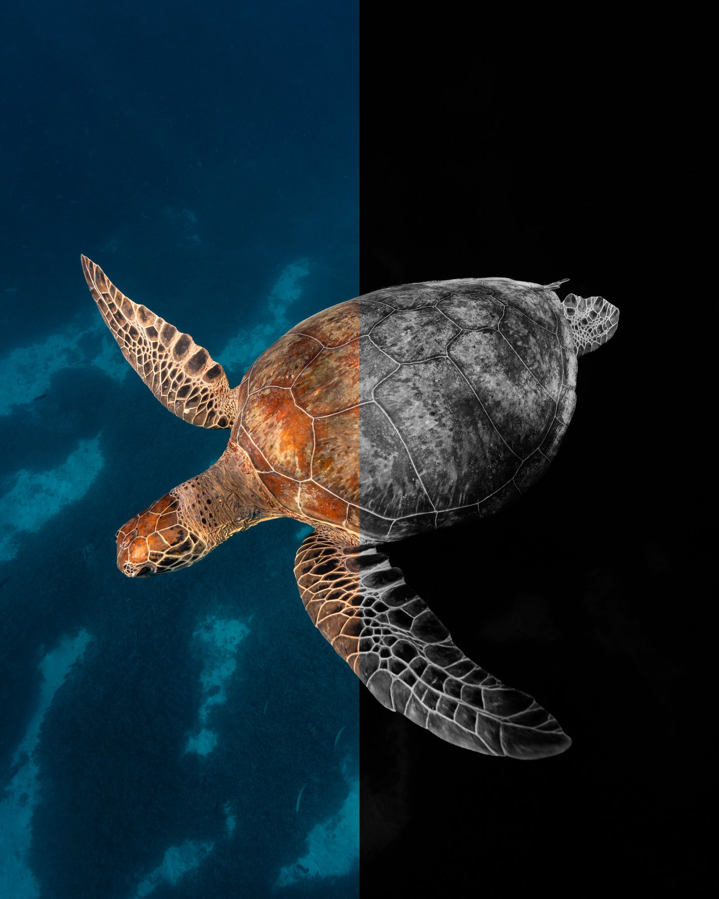 The Underwater Preset Collection