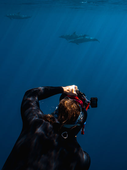 Baja Mobulas and Cetaceans Workshop 2026