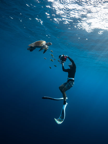 Baja Mobulas and Cetaceans Workshop 2026