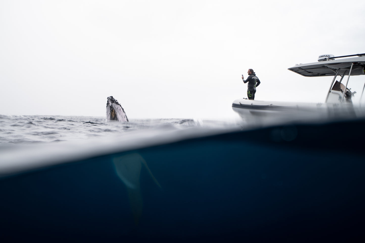 Humpback Whale Underwater Photography Workshop - Sunshine Coast