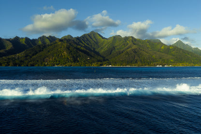 Mo'orea Whale Retreat 2026