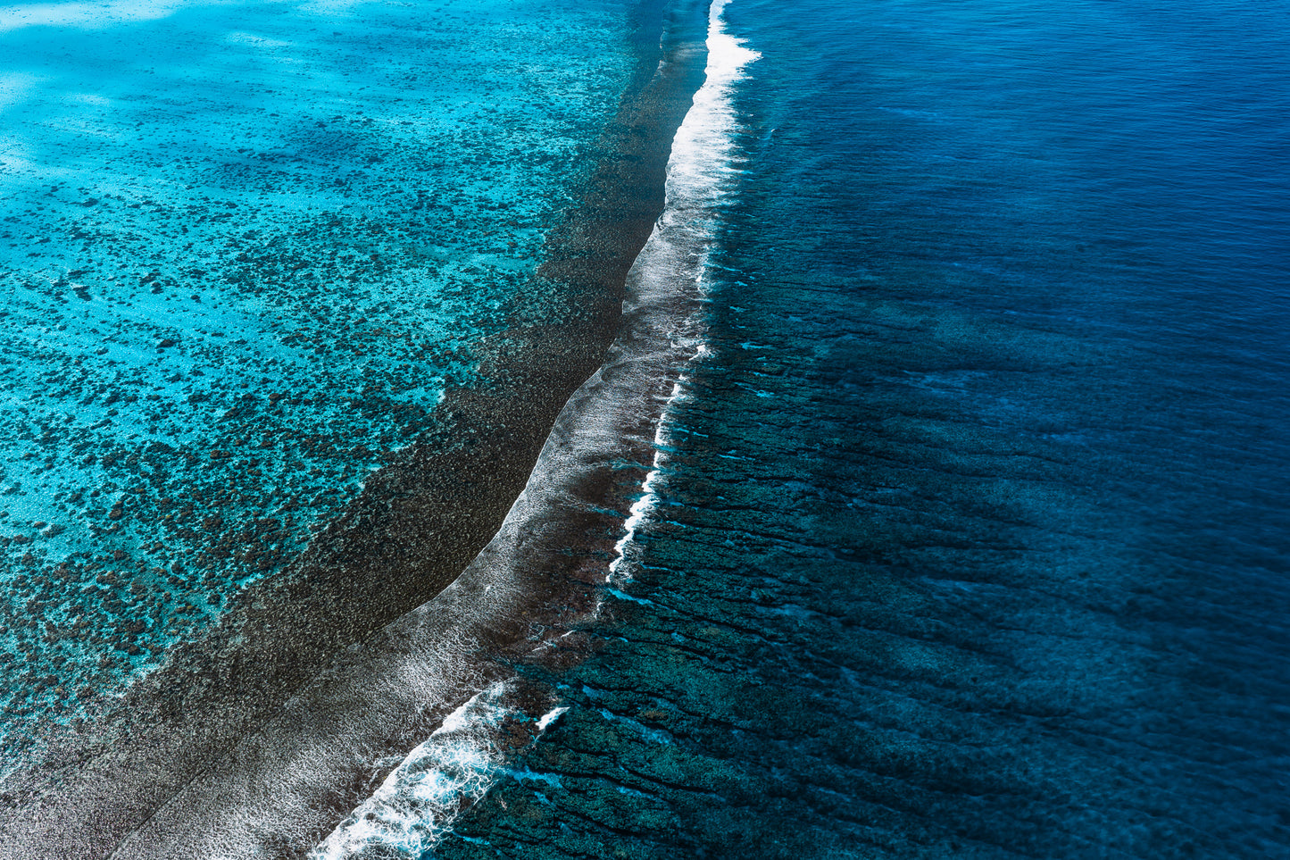 Mo'orea Whale Retreat 2026