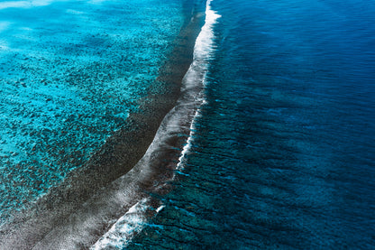 Mo'orea Whale Retreat 2026