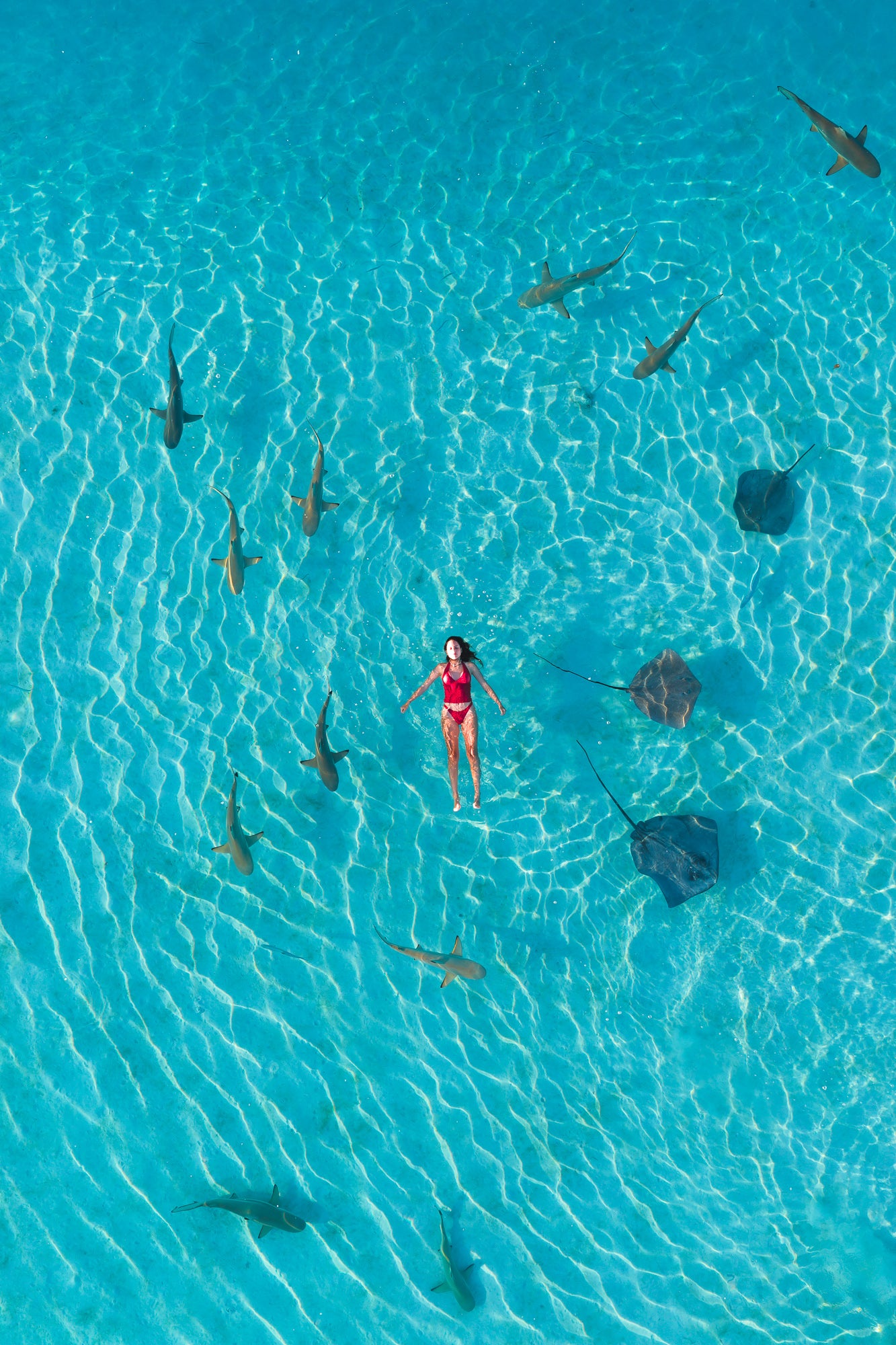 Mo'orea Whale Retreat 2026