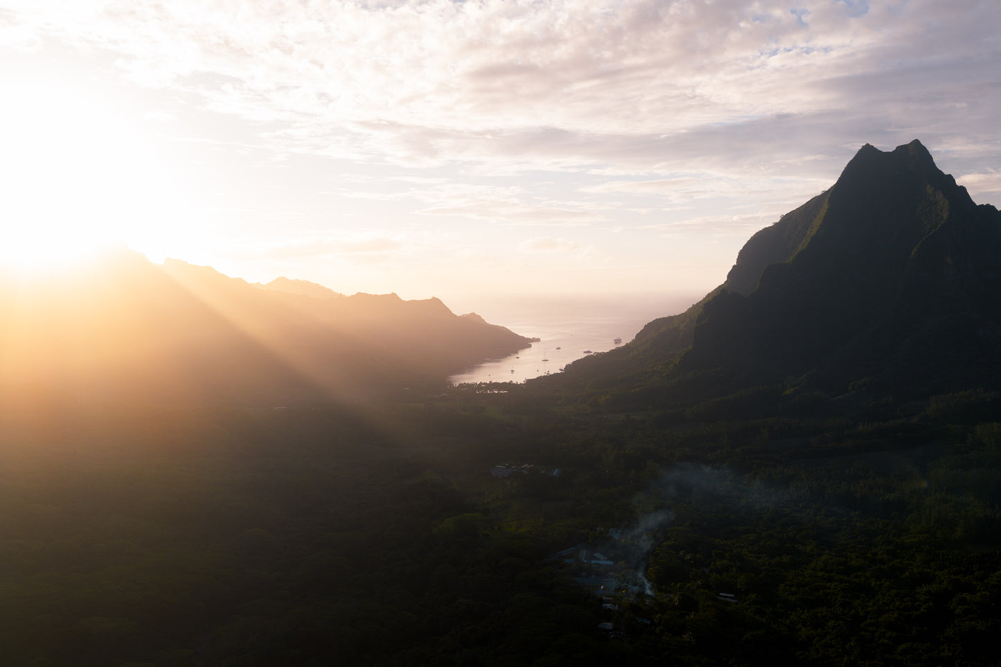 Mo'orea Whale Retreat 2026