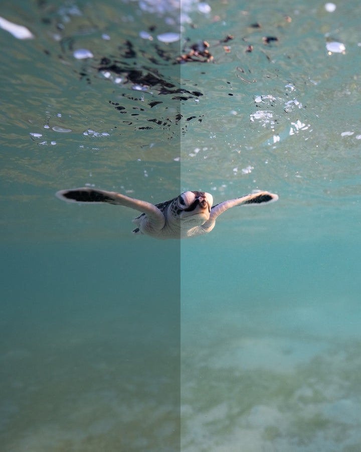 The Underwater Preset Collection