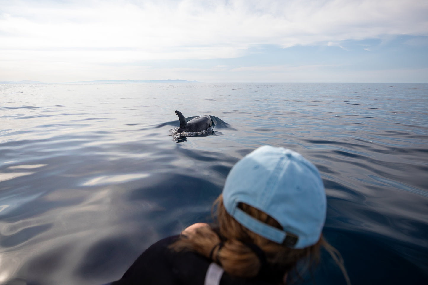 Baja Mobulas and Cetaceans Workshop 2026