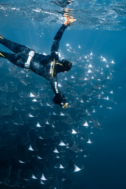 Baja Mobulas and Cetaceans Workshop 2026