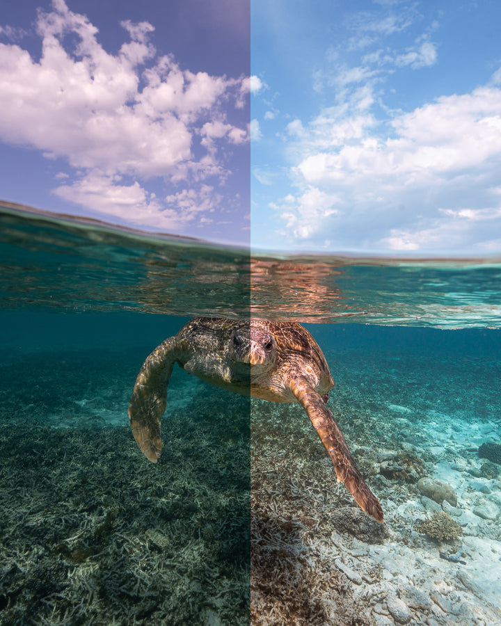 The Underwater Preset Collection