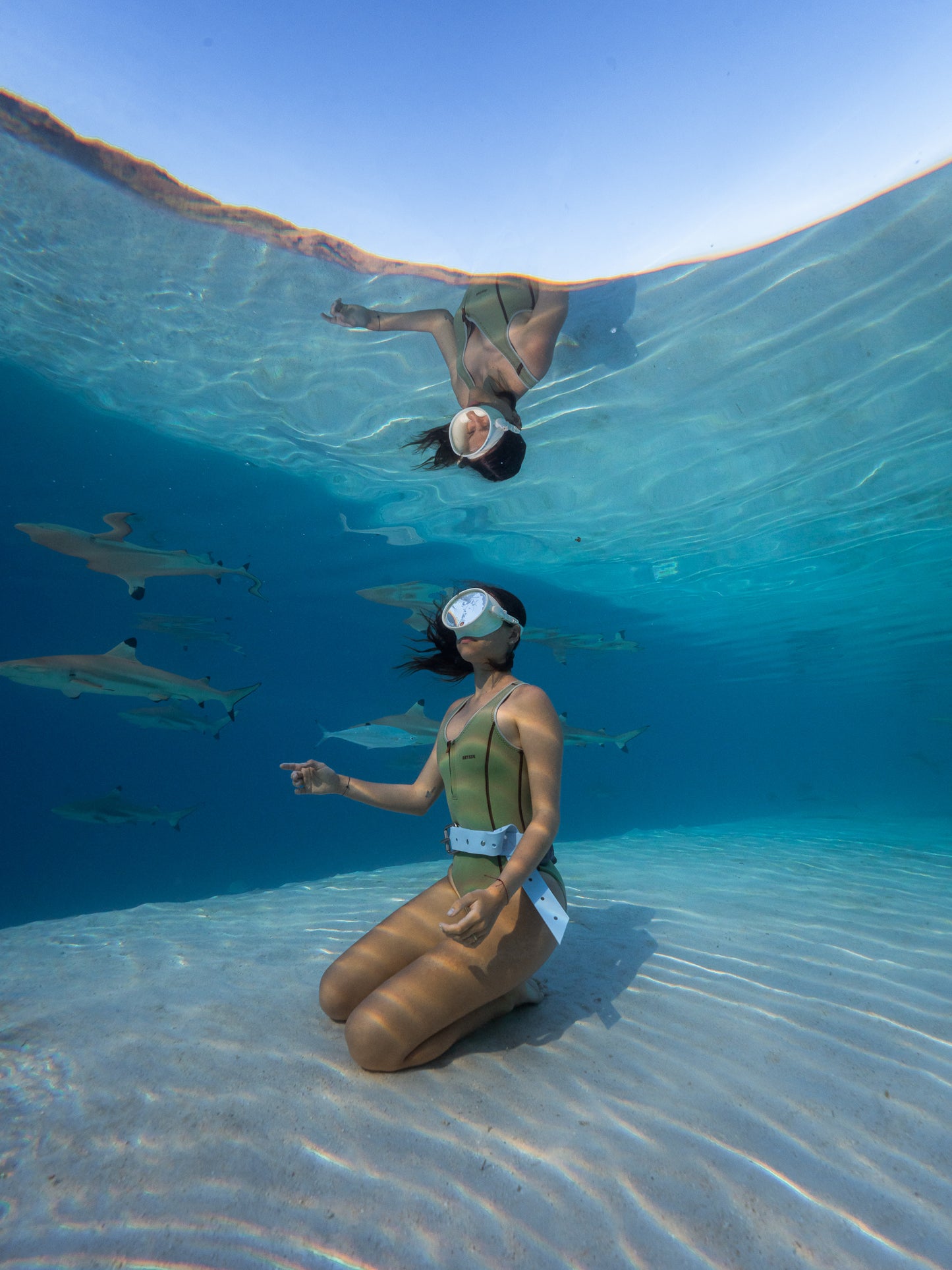 Mo'orea Whale Retreat 2026
