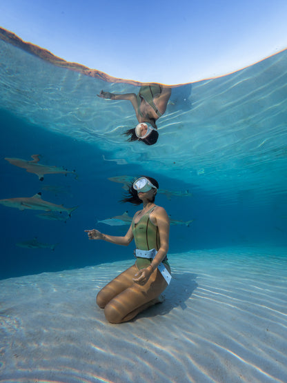 Mo'orea Whale Retreat 2026