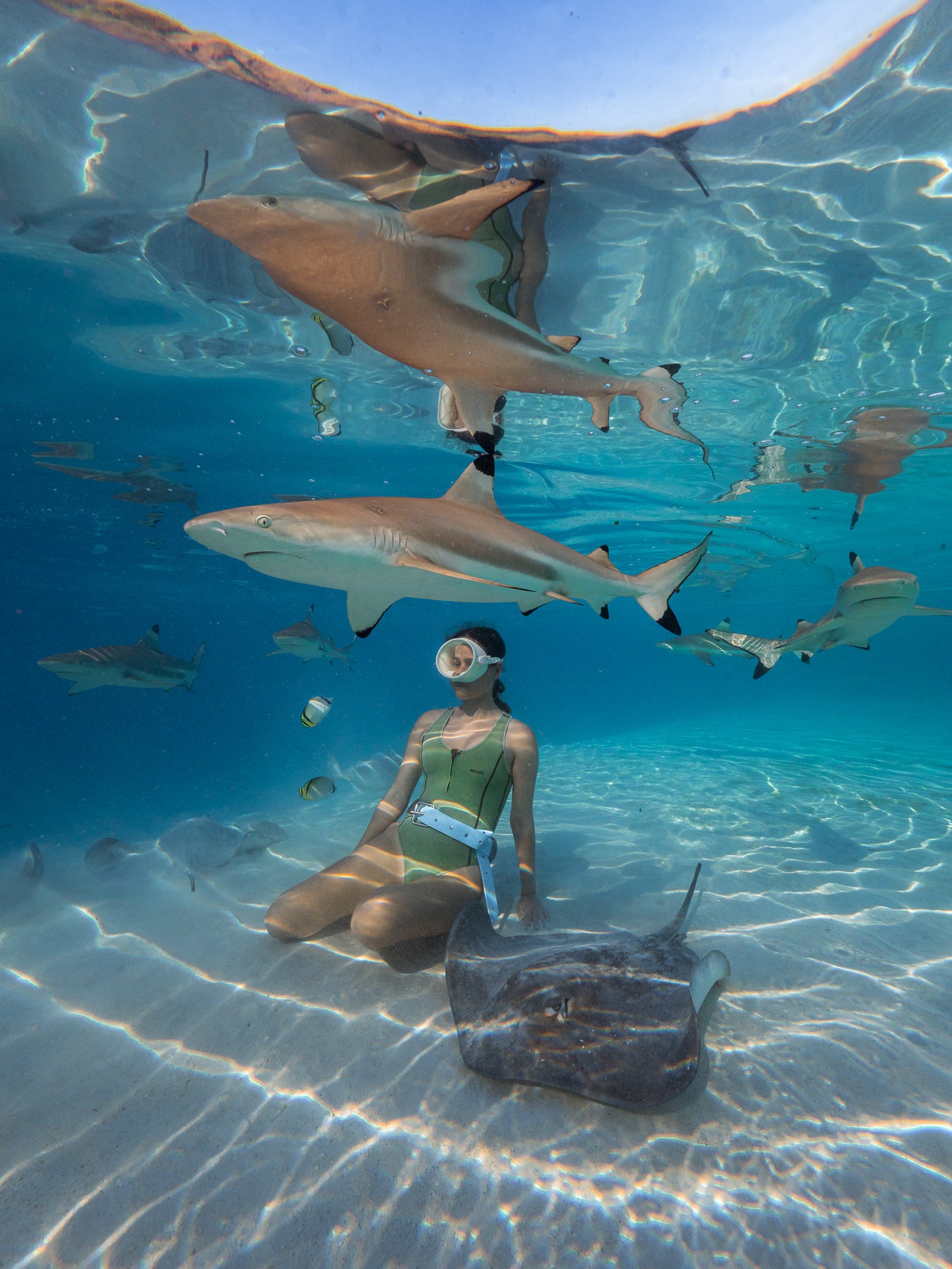 Mo'orea Whale Retreat 2026