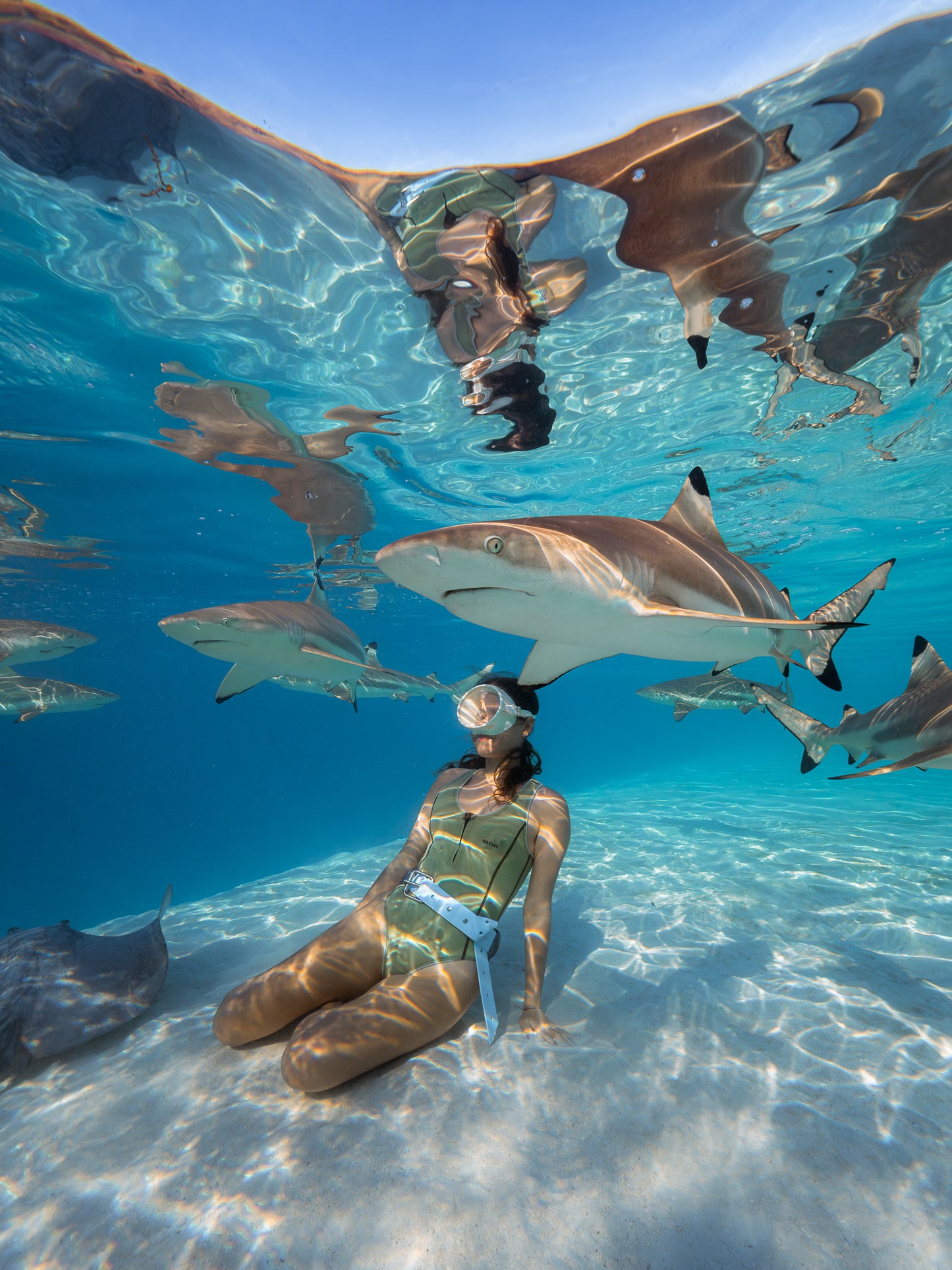 Mo'orea Whale Retreat 2026