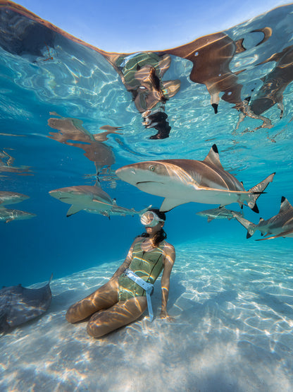 Mo'orea Whale Retreat 2026