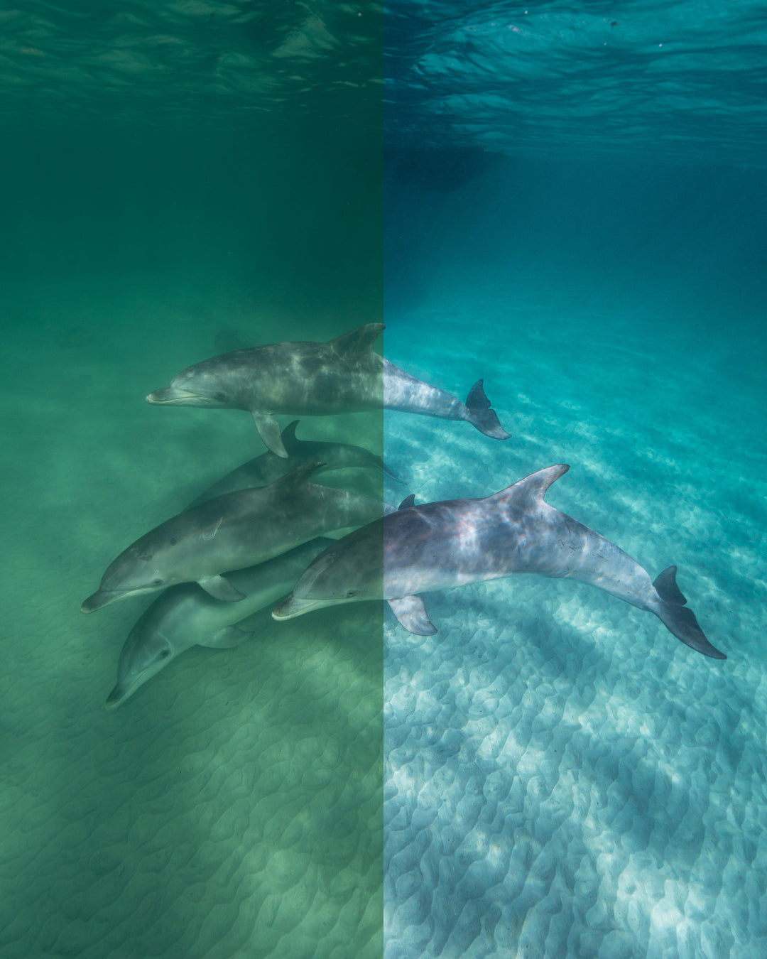 The Underwater Preset Collection