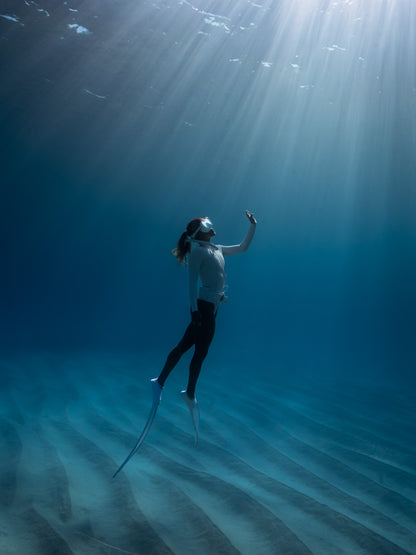 Baja Mobulas and Cetaceans Workshop 2026