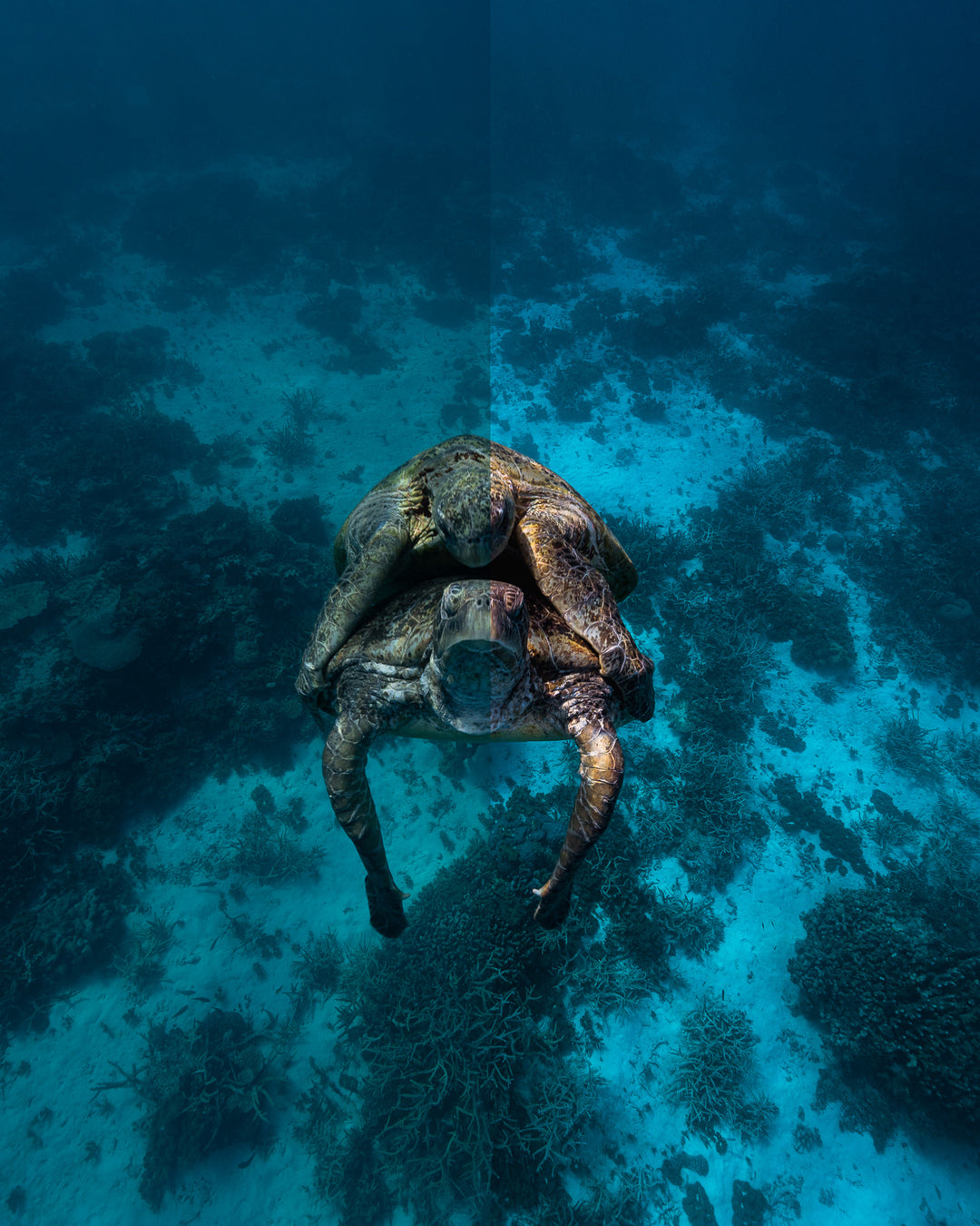 The Underwater Preset Collection