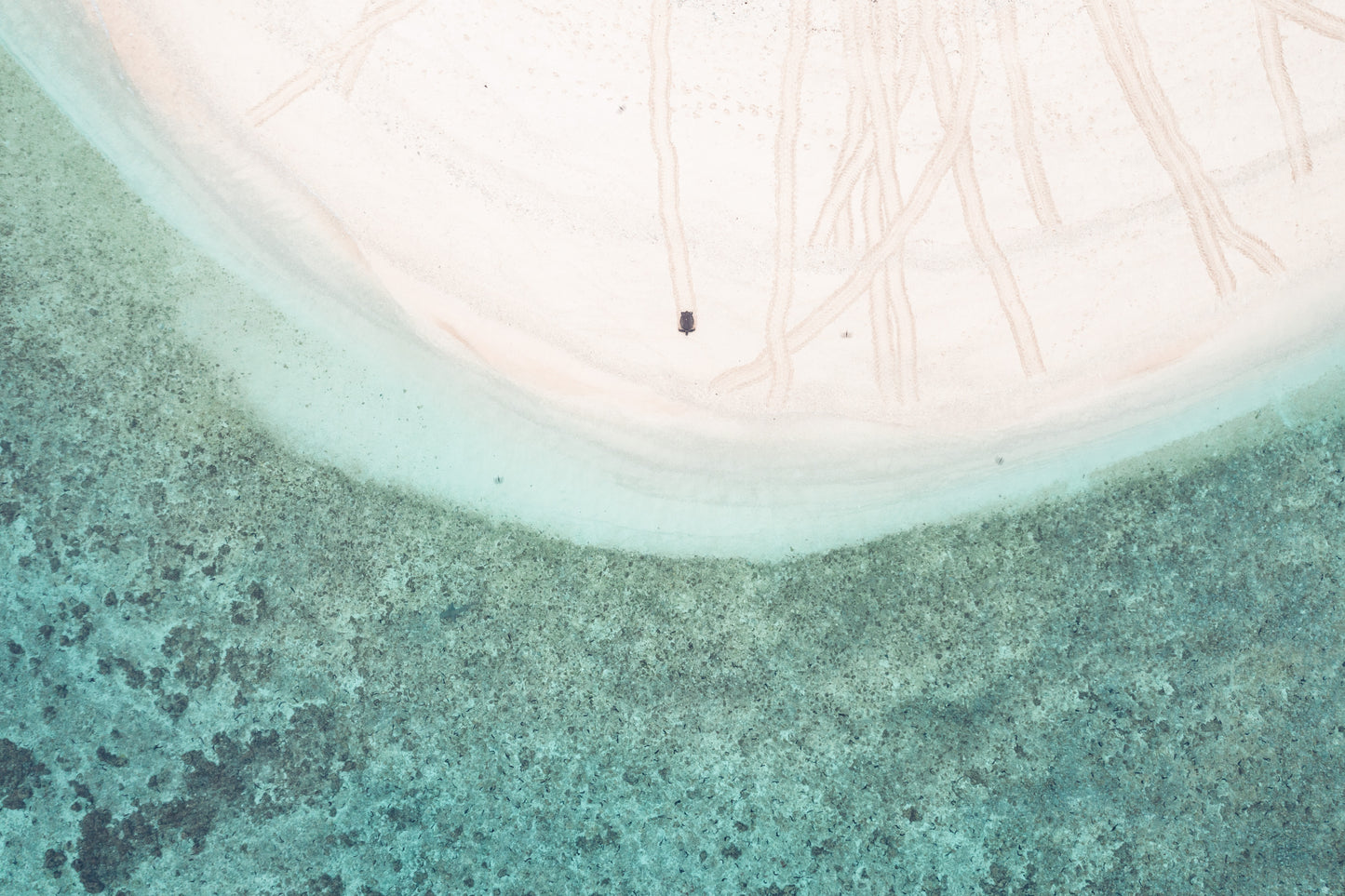 Heron Island - Turtle Nesting & Mating Workshop - 8th-14th November 2025