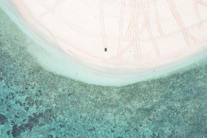Heron Island - Turtle Nesting & Mating Workshop - 8th-14th November 2025