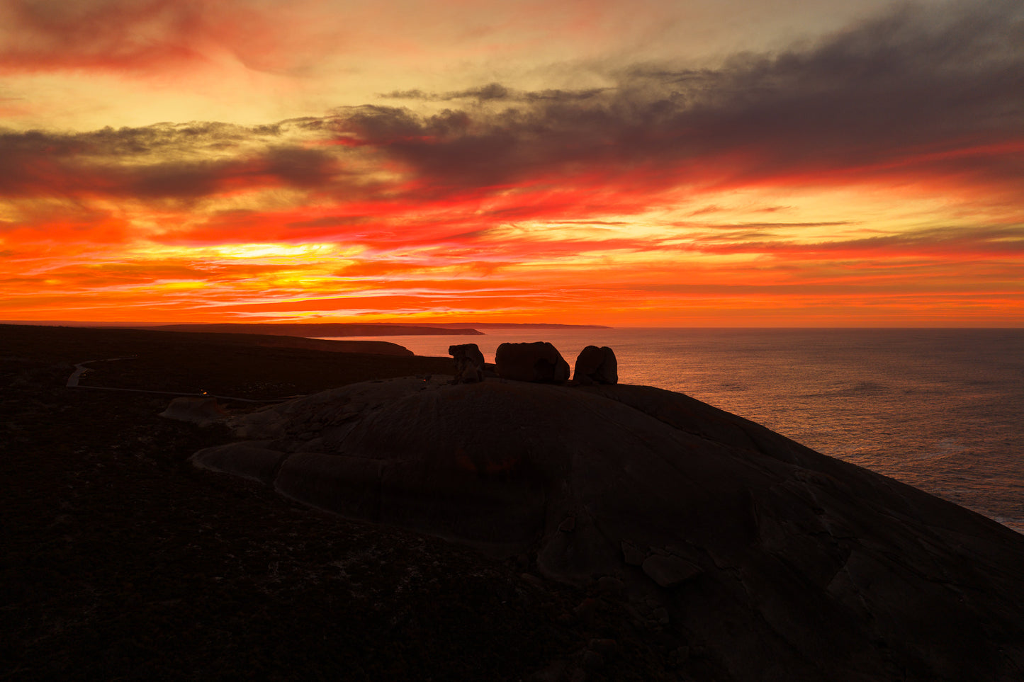 Kangaroo Island - The Australian Galapagos Workshop - May 2026
