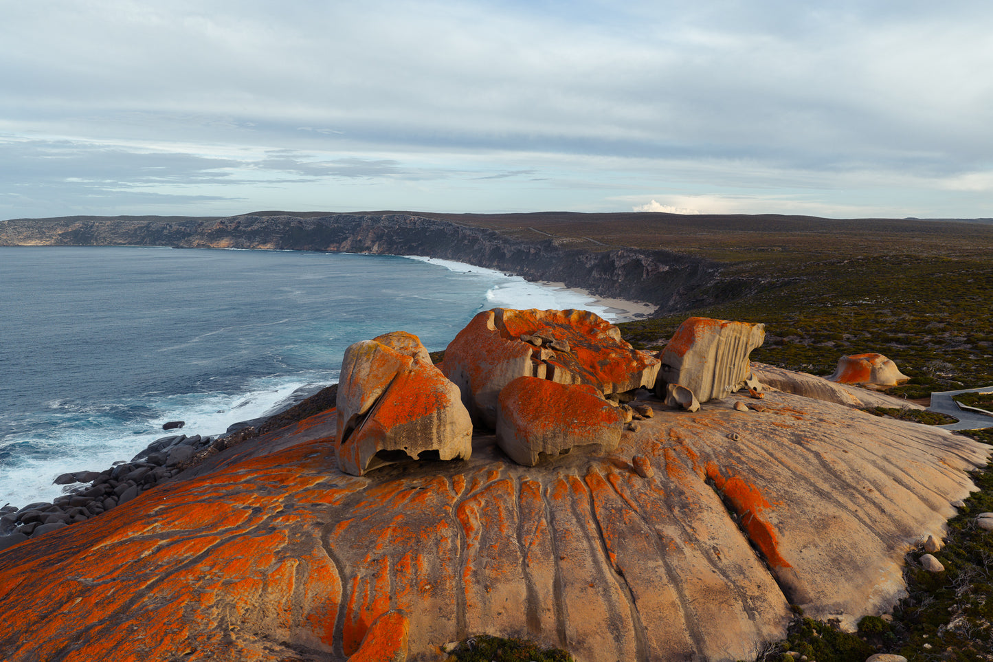 Kangaroo Island - The Australian Galapagos Workshop - May 2026