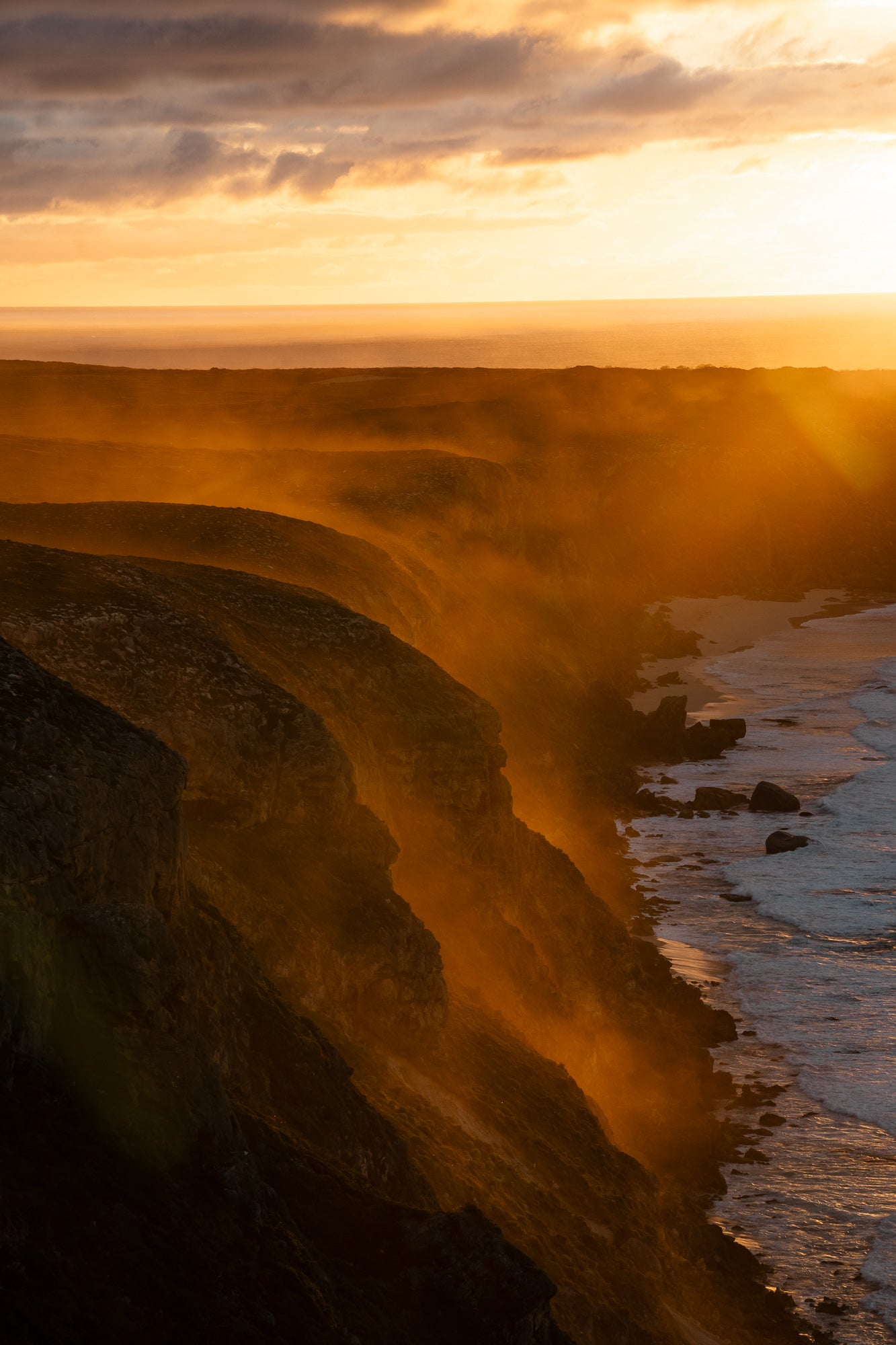 Kangaroo Island - The Australian Galapagos Workshop - May 2026