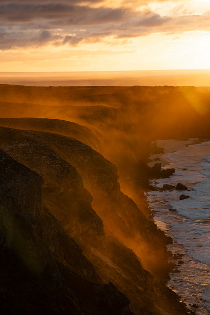 Kangaroo Island - The Australian Galapagos Workshop - May 2026