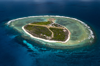 Lady Elliot Island Turtle Hatchling Expedition - February 2027