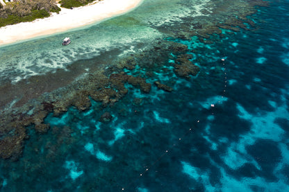 Lady Elliot Island Photography Workshop - November 2026