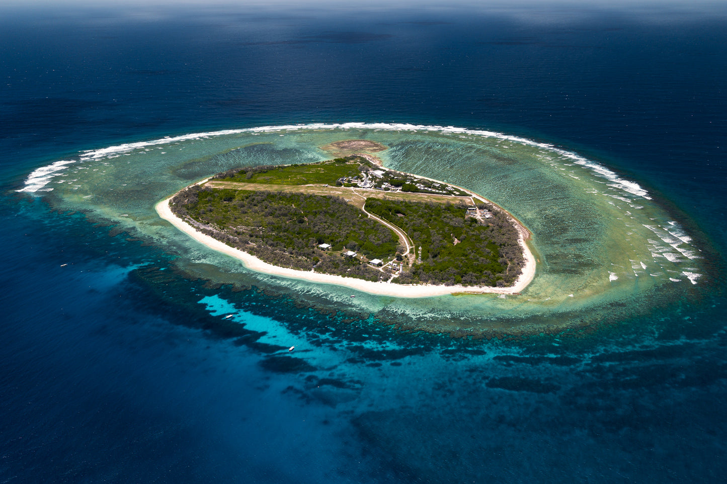 Lady Elliot Island Photography Workshop - November 2026