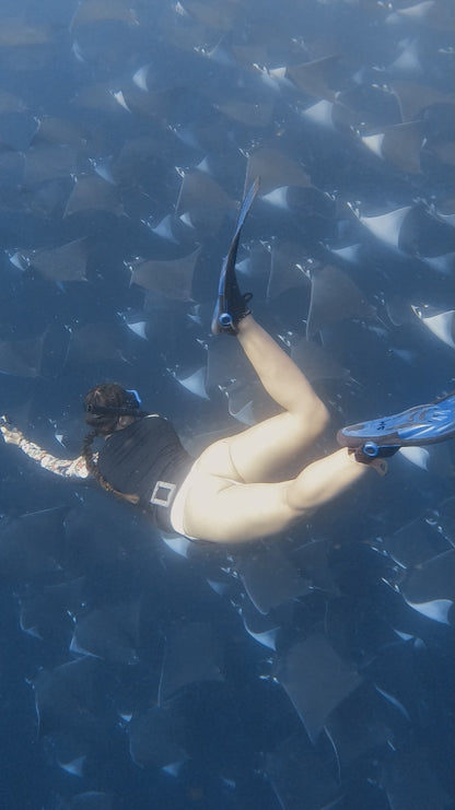 Baja Mobulas and Cetaceans Workshop 2026