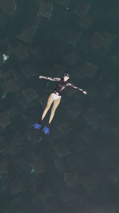 Baja Mobulas and Cetaceans Workshop 2026