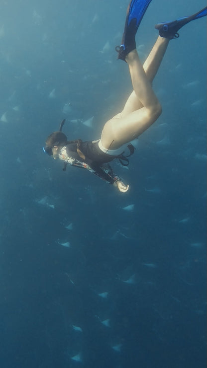 Baja Mobulas and Cetaceans Workshop 2026