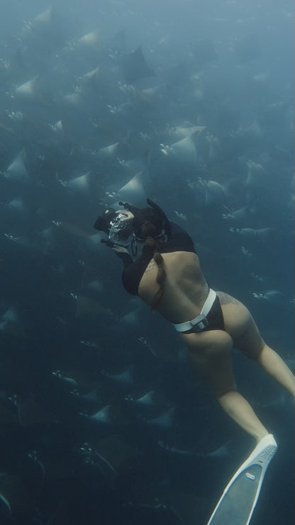 Baja Mobulas and Cetaceans Workshop 2026