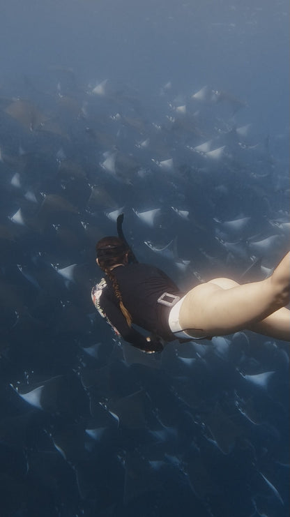 Baja Mobulas and Cetaceans Workshop 2026