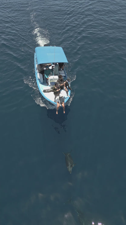 Baja Mobulas and Cetaceans Workshop 2026