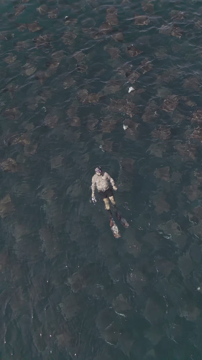 Baja Mobulas and Cetaceans Workshop 2026