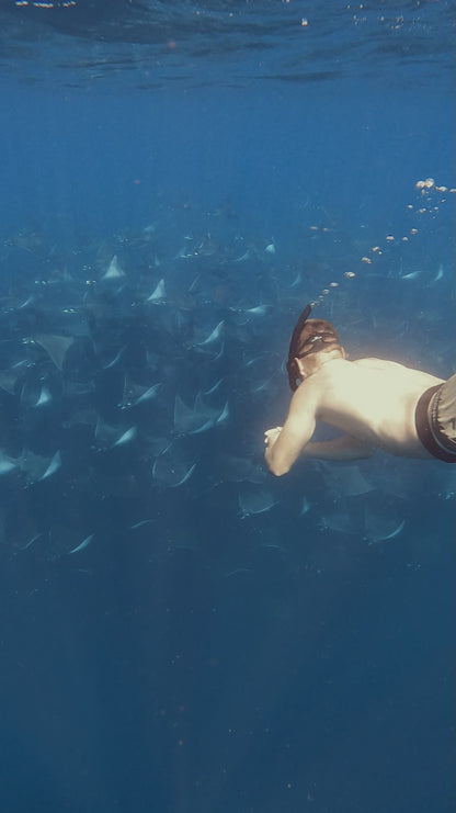 Baja Mobulas and Cetaceans Workshop 2026